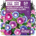 KVITER 750 Dandelion Seeds for Planting (Taraxacum officinale)– Dandelion Greens Flower Seed Starting – Edible Plants, Herb Grower, Medicinal Herbs Seeds Outdoor  Indoor Herb Garden, Containers(Mix Morning Glory)