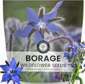 Borage – 1,000 Seeds for Planting – 2026 Season – 1 Ounce Pouch