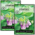 Sow Right Seeds - Comfrey Seeds for Planting - Non-GMO Heirloom - High-Yield Comfrey for Garden, Medicinal Herbs, and Soil Improvement - Outdoor or Indoor Herb Garden - Use for Home Remedies (1)(2)