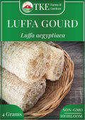 TKE Farms  Gardens - Luffa Gourd Seeds for Planting, 30+ Heirloom Non-GMO Loofah Seeds, Grow Natural Sponges or Harvest Edible Luffa Plant, Never Buy a Plastic Scrubber Again