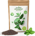PLANTMEW Mint Seeds for Planting - 3500 Spearmint Seeds, Non-GMO  Heirloom Perennial Herb Seeds for Indoor/Outdoor Herb Garden, Tea, Cocktails (1 Pack)