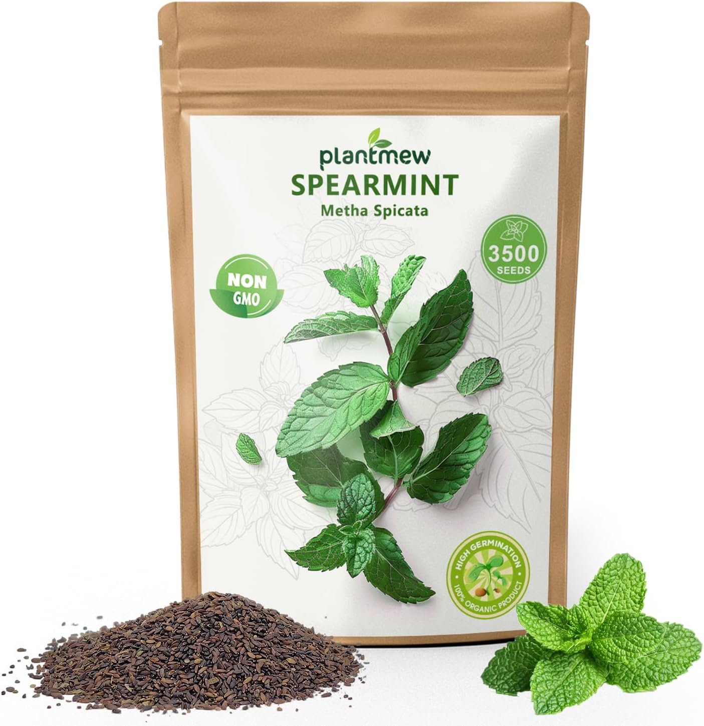 PLANTMEW Mint Seeds for Planting - 3500 Spearmint Seeds, Non-GMO  Heirloom Perennial Herb Seeds for Indoor/Outdoor Herb Garden, Tea, Cocktails (1 Pack)