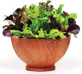 1000 Lettuce Mix Seeds Please Read This is A Mix 20 Varieties Heirloom Non-GMO. Seeds are not Individually Packaged Lactuca Sativa