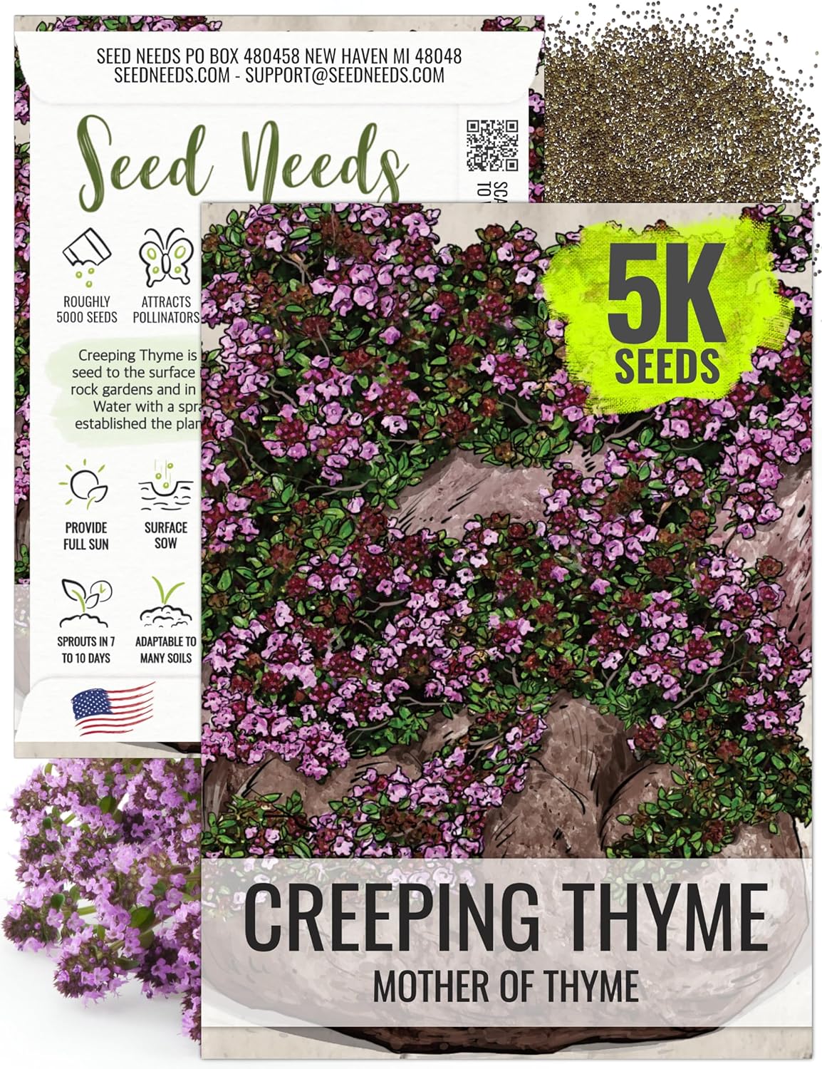 Seed Needs, Mother of Thyme Creeping Thyme Seeds 5,000 Seeds for Planting Thymus serpyllum - Perennial Flowers for Rock Gardens  Groundcover (1 Pack)(1 Pack (5,000 Seeds))
