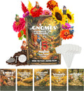 Fairy Garden Seed Kit – Flower Seeds Kit for a Magical Blooming Surprise – Wildflower Seeds for Pollinators, Butterfly Garden Starter, Indoor or Outdoor Planting - Introduce Kids to Gardening(Gnome Seed Kit)