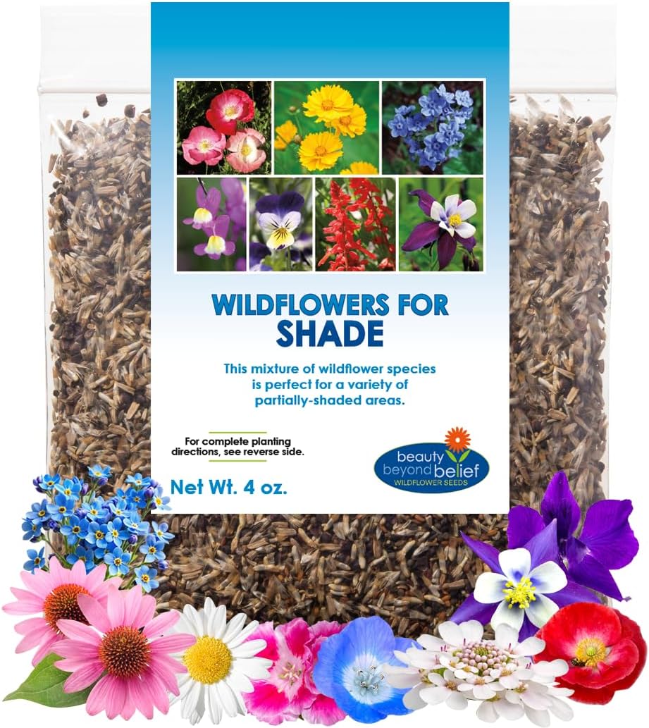 BBB Seed Partial Shade Wildflower Seeds - 1 oz Packet, Open-Pollinated Wildflower Seed Mix, No Fillers, Annual, Perennial Wildflower Seeds for Planting Year Round - 1 oz(4 oz)