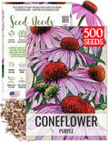 Seed Needs Coneflower Seeds for Planting Purple Echinacea Coneflowers - Heirloom  Open Pollinated Perennial Medicinal Flower - Perfect Wildflowers for a Butterfly Garden (1 Pack)