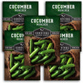 Muncher Cucumber Seeds for Planting | Burpless Variety with Smooth Skin for Snacking or Slicing – Survival Garden Seeds (1 Pack)(5)