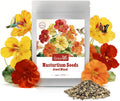 Groundio Nasturtium Seeds, 1 Ounce Large Packet 200+ Seeds, Annual Nasturtium Flower in 3 Colors, Non-GMO | Heirloom | Edible Flower | Attract Pollinators, USDA 2-11(Tropaeolum maj)(yellow,orange,red Nasturtium)