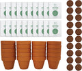 BUZZY Seeds Terracotta Mini Grow Pots – Herb Flower Plant Starter Kit Assorted 20-Pack with Lavender Seeds, Indoor Grow Your Own Gardening Gift for DIY Projects and Party Favors(Forget-me-not)
