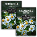 German Chamomile Seeds for Planting – Heirloom Tea Herb  Edible Flower – Non-GMO Matricaria chamomilla for Wellness Gardens – Survival Garden Seeds (1 Pack)(2)