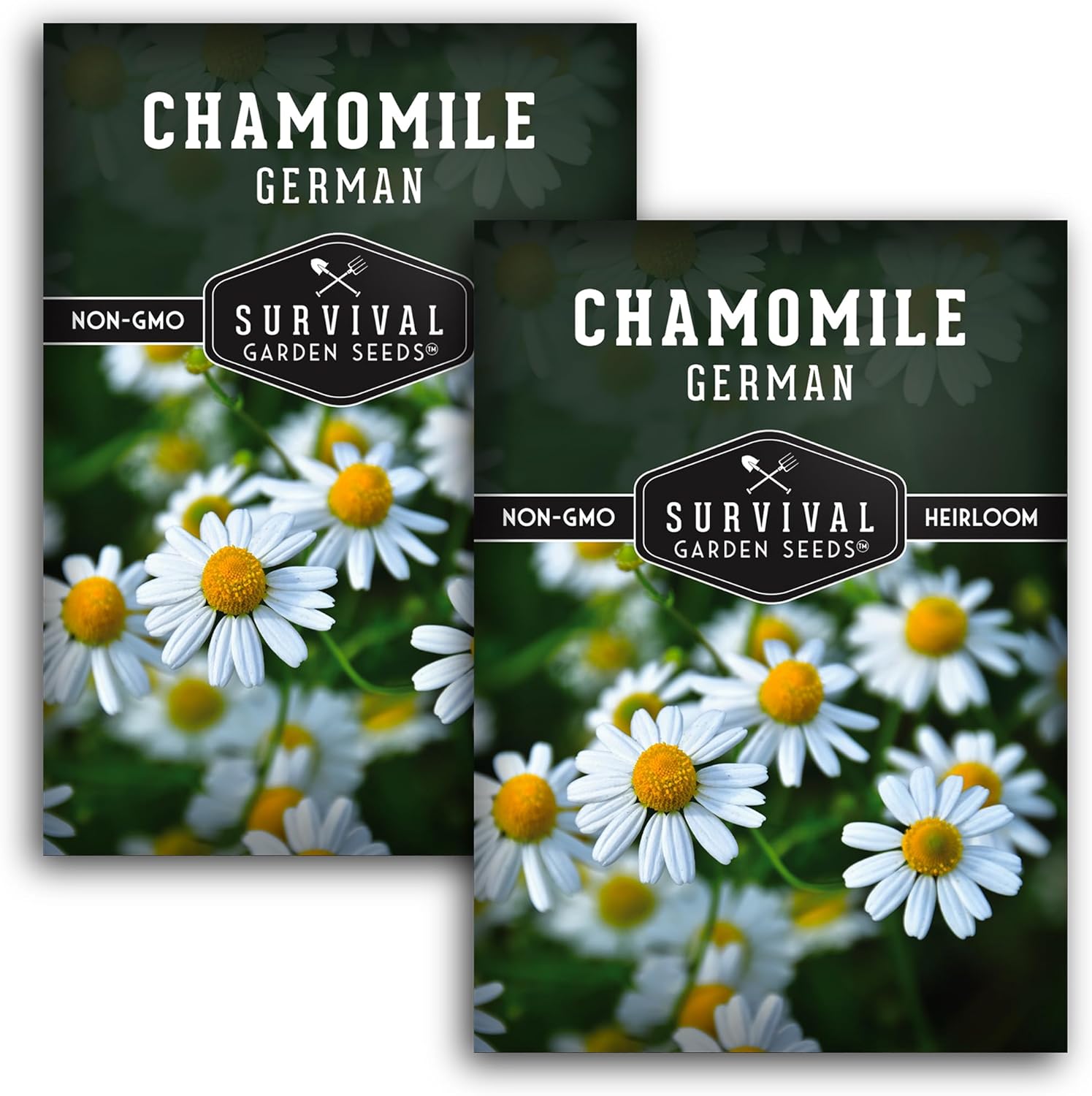 German Chamomile Seeds for Planting – Heirloom Tea Herb  Edible Flower – Non-GMO Matricaria chamomilla for Wellness Gardens – Survival Garden Seeds (1 Pack)(2)