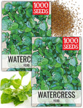 Seed Needs Watercress Seeds for Planting Nasturtium officinale - Non-GMO Heirloom  Untreated - Plant Your own Home Grown Culinary Herb Garden Indoors or Outdoors (2 Packs)(2 Packs (2,000 Seeds))