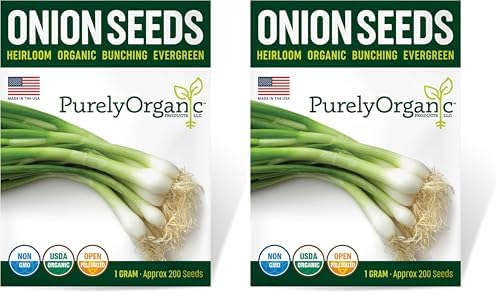 Organic Onion Seeds (Bunching Evergreen) - Approx 200 Seeds - USDA Organic, Non-GMO, Open Pollinated, Heirloom, USA Origin(approx 200 seeds (Pack of 2))