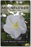 Sow Right Seeds - Moonflower Seeds for Planting - Ipomoea alba - Vining Plant - Non-GMO Heirloom - Fast Growing Fragrant Moon Flowers - Easy to Grow Annual Ideal for Gardens, Patios, Fences (1)