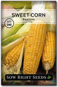 Sow Right Seeds - Bantam Sweet Corn Seed for Planting - Non-GMO Heirloom Packet with Instructions to Plant a Home Vegetable Garden - Grow Sweet Yellow Corn on The Cob - Tall Variety (1)