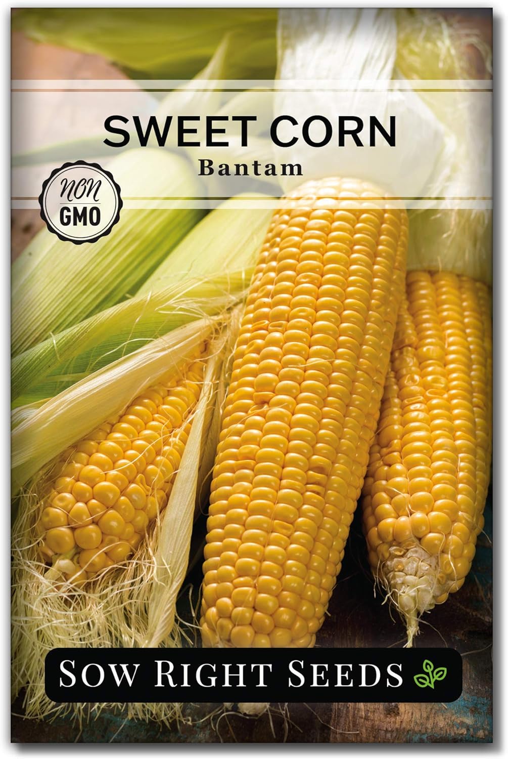 Sow Right Seeds - Bantam Sweet Corn Seed for Planting - Non-GMO Heirloom Packet with Instructions to Plant a Home Vegetable Garden - Grow Sweet Yellow Corn on The Cob - Tall Variety (1)