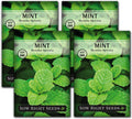 Sow Right Seeds - Mint Seeds for Planting - Non GMO Heirloom Perennial Herb for Indoor or Outdoor Planting - Ideal for Kitchen Herb Garden - Perennial Growing Plants - Packet with Instructions (1)(4)