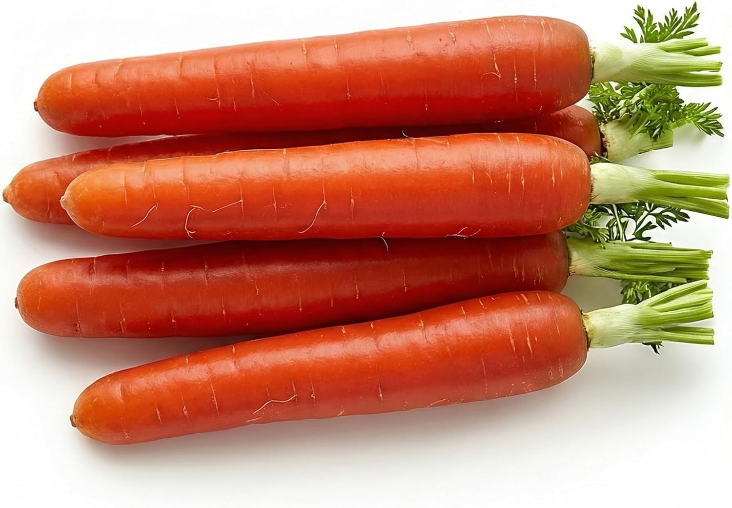 1000 Scarlet Nantes Carrot Seeds for Planting - Sweet Coreless Heirloom, Non-GMO, USA Grown by RDR Seeds