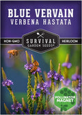 Survival Garden Seeds Blue Vervain Seeds for Planting (Verbena Hastata) | North American Native Wetland Wildflower | Butterfly Magnet | 1 Pack | Survival Garden Seeds(1)