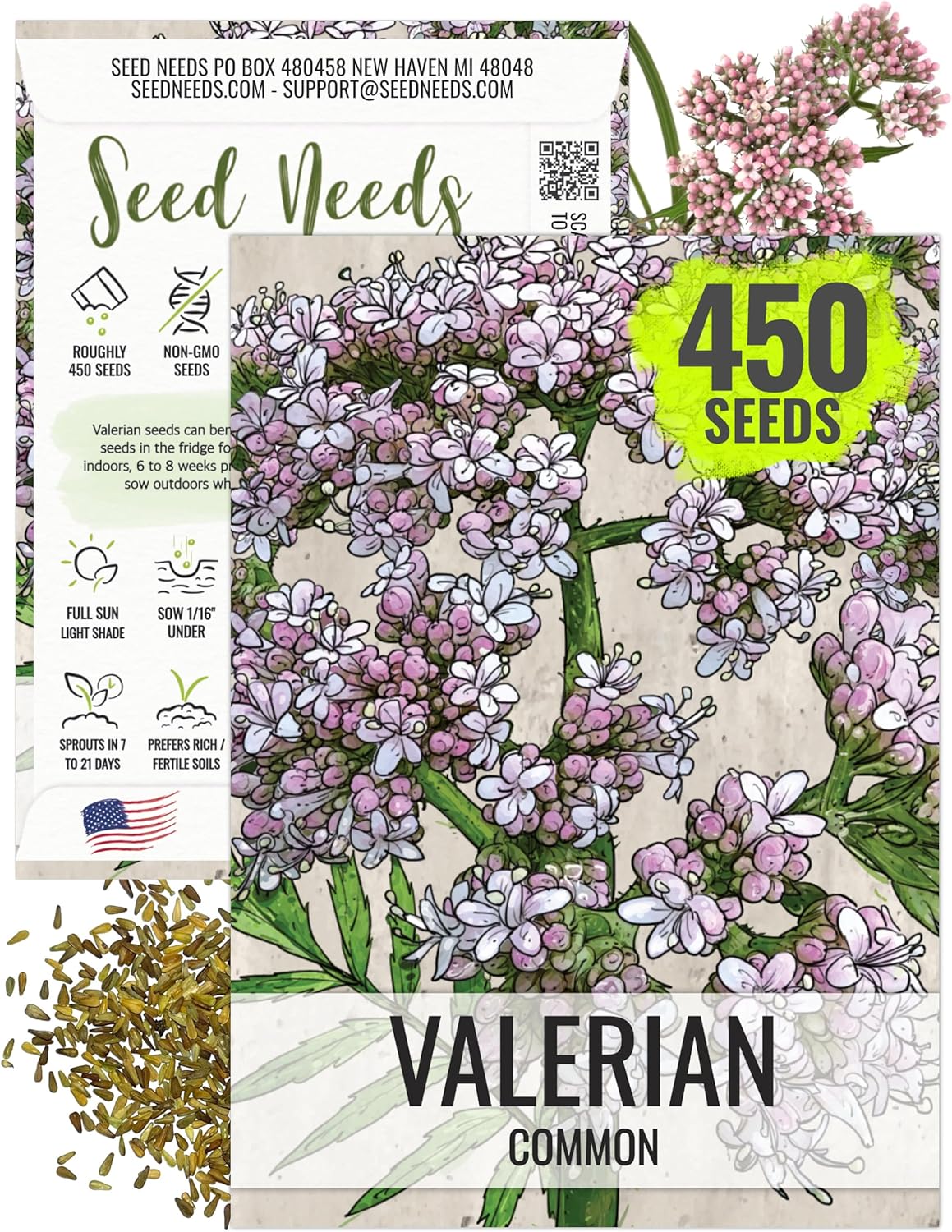 Seed Needs Valerian Seeds for Planting Stink Root Plants - Non-GMO Heirloom  Untreated Perennial Medicinal Herb Seed to Plant a Home Grown Outdoor Garden (1 Pack)(1 Pack)