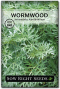 Sow Right Seeds - Wormwood Seeds for Planting - Non-GMO Heirloom Packet with Instructions to Plant  Grow an Outdoor or Indoor Herb Garden - Sagewort Repels Mosquitoes - Medicinal Worm Wood Herb (1)