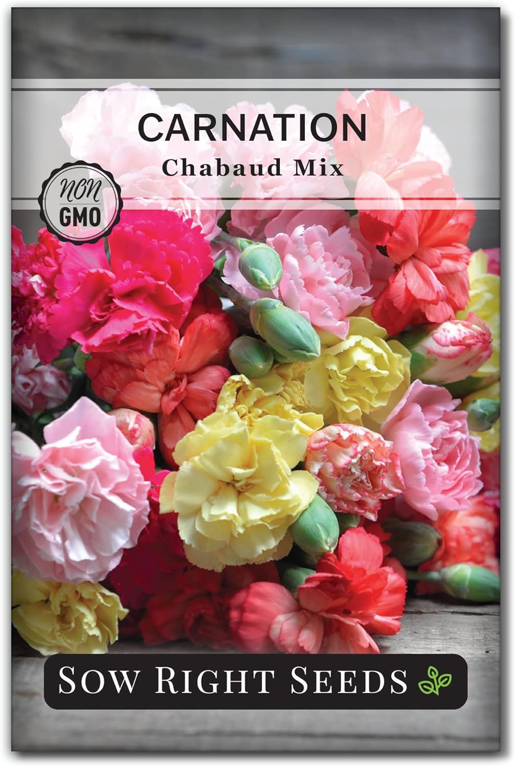 Sow Right Seeds - Chabaud Mix Carnation Seeds for Planting - Non-GMO Heirloom Dianthus Variety Ideal for Outdoor Gardens - Grow Large Carnation Plants - Easy to Sow and Bloom Beautiful Flowers (1)