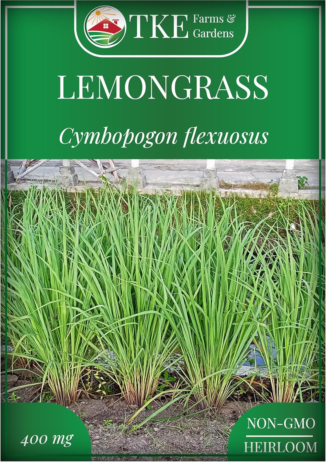 TKE Farms  Gardens - Lemongrass Seeds for Planting, Over 750 Non-GMO Seeds, Grow Indoors  Outdoors for Fresh Herbs Year Round, Easy-to-Grow Aromatic Herb for Cooking, Teas  Wellness
