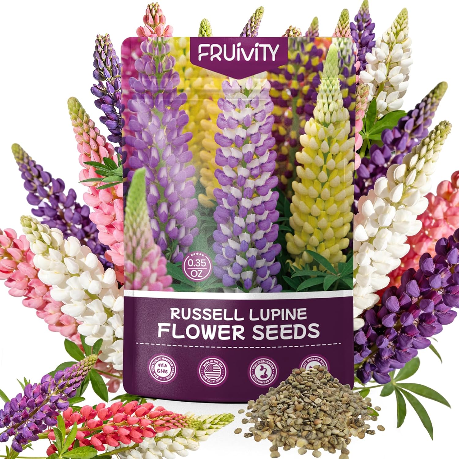 Fruivity Russell Lupine Seeds (0.35oz - 1000+ Seeds) - Mixed Color Perennial Wildflower - Lupinus polyphyllus - Heirloom Seeds for Planting, Attracts Bees  Hummingbirds,