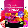 NatureZ Edge Zinnia Seeds for 2026 Planting Outdoors, Over 4000 Flower Seeds, 1 Oz, Non GMO Made in USA, Bulk Semillas De Flores para Sembrar, California Giants, Easy to Grow Zinnia Seed Mix(1 oz/California Giants Zinnia)