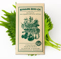 Korean Perilla Seeds – Heirloom, Non-GMO – Easy-to-Grow Culinary Herb for Asian Dishes, Wraps  Garnishes – Ideal for Home Gardens  Containers – Annual Herb with Fragrant Leaves