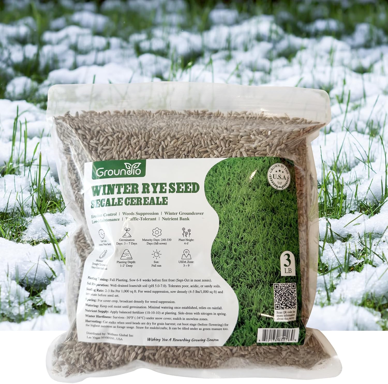 Groundio Winter Rye Seeds, 3lbs Non-GMO Cover Crop Seeds, Annual Secale Cereale to Plant for Lawn Alternative, Rye Grass Seed Grown in The USA