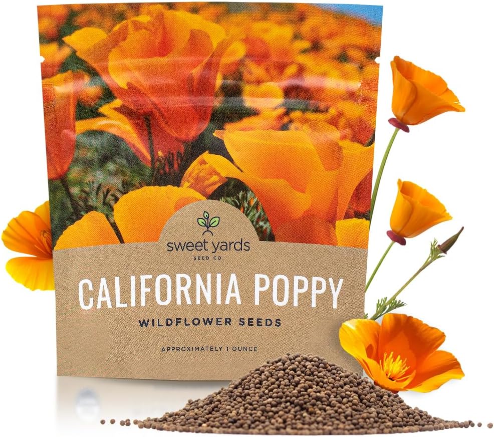 California Orange Poppy Wildflower Seeds - Bulk 1 Ounce Packet - Over 20,000 Native Seeds - California State Flower!(1 Ounce Pouch)