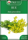 TKE Farms  Gardens - Rue Seeds for Planting, 1 Gram, 500 Heirlooom Seeds, Non-GMO, Instructions Included, Ruta graveolens, Qty 1