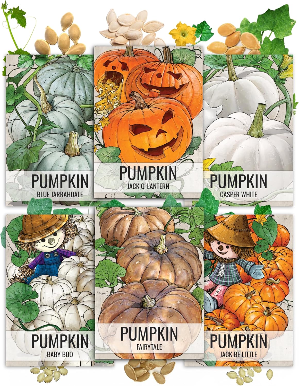 Seed Needs Pumpkin Seeds for Planting a Collection of Non-GMO Heirloom  Untreated Cucurbitas - Blue Jarrahdale, Casper White, Jack Be Little, Baby Boo, Fairytale  Jack O Lantern