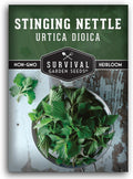 Stinging Nettle Seeds for Planting - Urtica Dioica Medicinal Herb  Edible Perennial - Common Nettle for Tea, Cooking  Wellness - Heirloom Non-GMO - Survival Garden Seeds (1 Pack)
