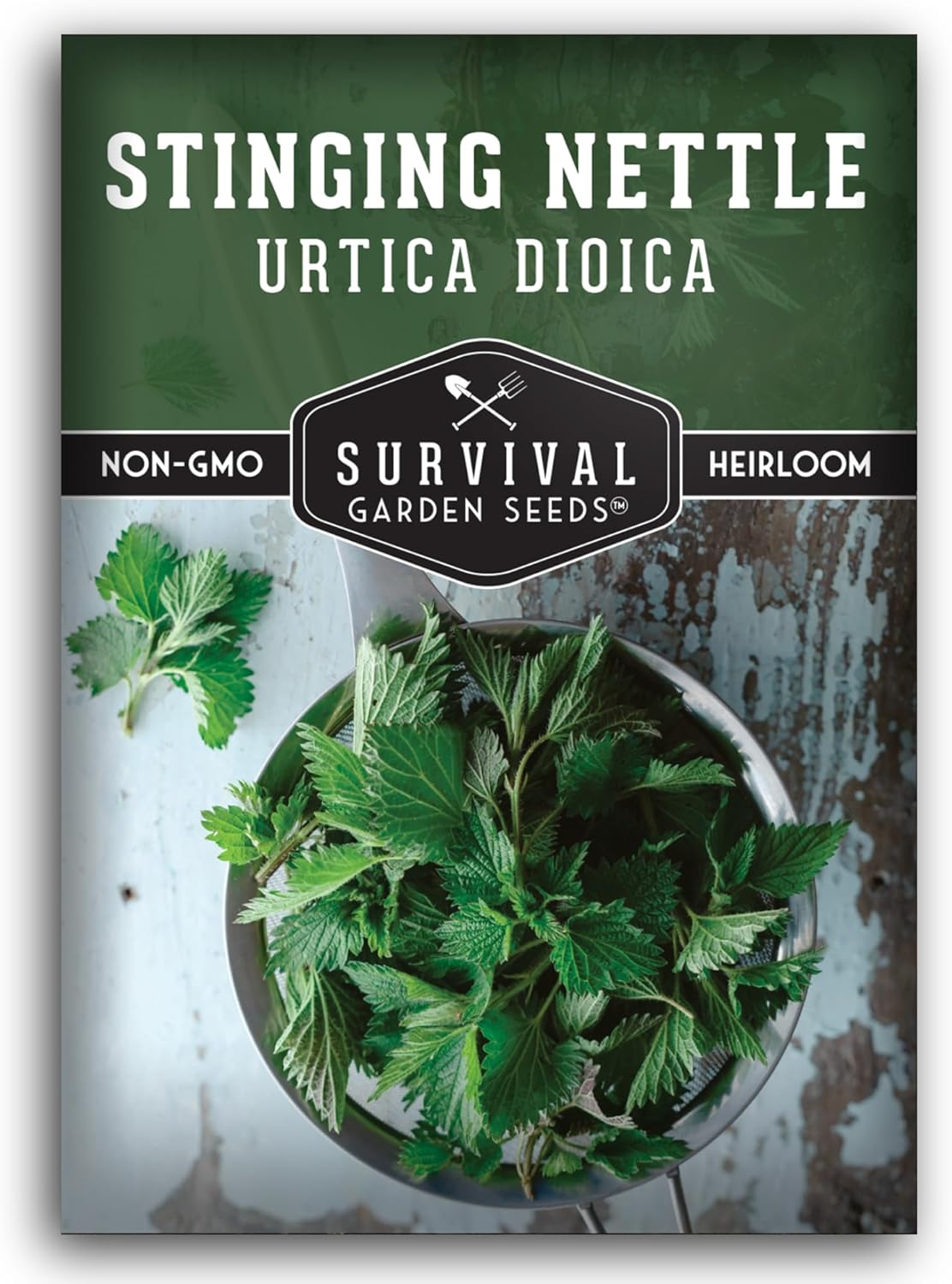 Stinging Nettle Seeds for Planting - Urtica Dioica Medicinal Herb  Edible Perennial - Common Nettle for Tea, Cooking  Wellness - Heirloom Non-GMO - Survival Garden Seeds (1 Pack)