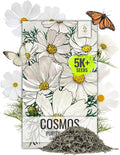 Seed Needs Cosmos Seeds White Purity Variety Flowering Seed | 5,000+ Heirloom Seeds Cosmo Bipinnatus Wildflowers | Large White Blooms Attract Butterflies  Pollinators | Bulk