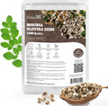 Groundio Moringa Seeds for Planting, 2 Ounce 140+ Seeds, 100% Natural Semillas de Moringa, Non- GMO | Premium PKM1 Quality| High Germination | USDA Zone 9-11