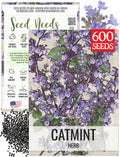 Seed Needs Catmint Seeds for Planting an Indoor/Outdoor Herb Garden - Non-GMO Heirloom  Untreated Herbal Plants - Great for Cats Nepeta mussinii (1 Pack)