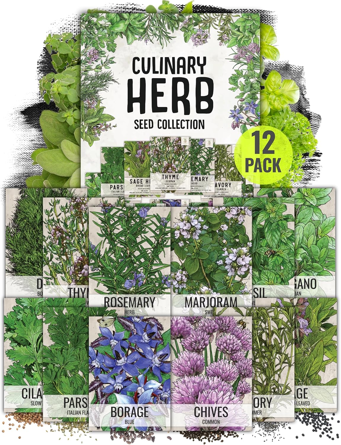 Seed Needs Herb Seeds Variety Pack Culinary Herb Collection (12 Individual Packets for Planting Indoors or Outdoors) Grow Your Own Herb Garden - Heirloom, Non-GMO(Culinary Herbs (12 Packs))