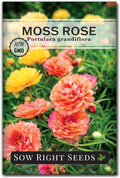Sow Right Seeds - Moss Rose Seeds for Planting - Portulaca Grandiflora Mix - Double Flower Purslane - Non-GMO Heirloom Variety - Easy to Grow Outdoors - Colorful Annual for Garden  Containers (1)(1)