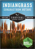 Indiangrass Seeds for Planting (Sorghastrum nutans) | Golden Prairie Plant | Drought-Tolerant North American Native Grass | 1 Pack | Survival Garden Seeds(1)