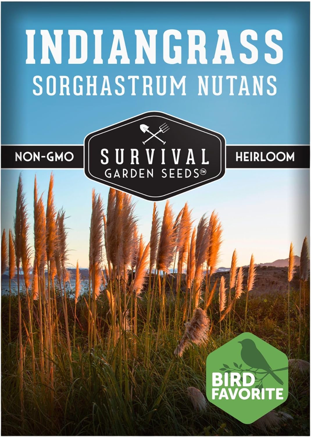 Indiangrass Seeds for Planting (Sorghastrum nutans) | Golden Prairie Plant | Drought-Tolerant North American Native Grass | 1 Pack | Survival Garden Seeds(1)