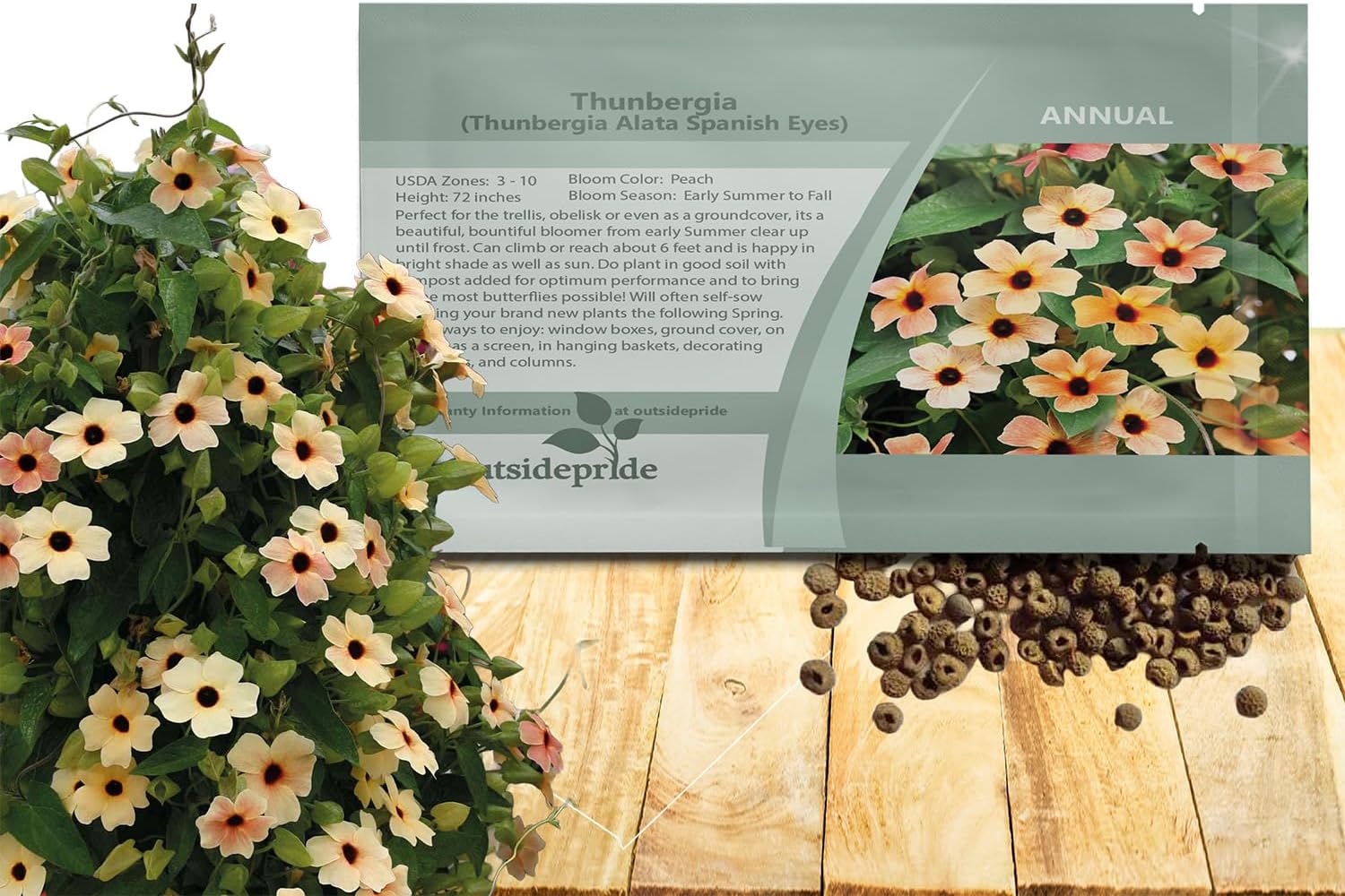 Outsidepride Spanish Eyes Thunbergia Black Eyed Susan Seeds - 10 Pcs Annual, Climbing Vine Flower Seeds for Planting Peachy Gold Blooms for Low Maintenance Gardens, Containers, Trellis  Fences(20 Seeds)