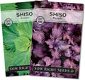 Sow Right Seeds - Shiso Seed Collection for Planting - Includes Green  Purple - Non-GMO Heirloom Varieties - Japanese or Korean Perilla Leaves for Home Garden - Easy to Grow for Culinary Use