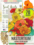 Seed Needs Nasturtium Seeds Jewel Mix Multicolored Edible Flowers | 1.5 Ounce 350+ Seeds Tropaeolum Nanum Annual Flower Seed Mix | Bulk Jewel Nasturtiums for the Garden(Small Pack (70 Seeds)/Double Gleam)