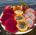 Dragon Fruit Seeds, Mixed Color, 300 Pcs, Fast Germination, Climbing Perennial, for Patio, Balcony, Backyard, and Pots