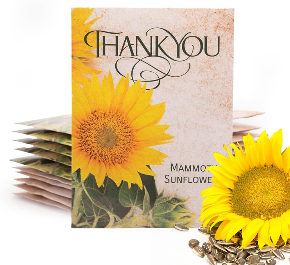 Bentley Seed Co. Thank You Packet - Pollinator Flower Mix - 25 Seed Packets - Perfect Eco-Friendly Thank You Gift - Non GMO Seeds, Green(Thank You Sunflower)