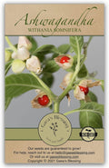 Gaea's Blessing Seeds - Ashwagandha Seeds - Heirloom Non-GMO Seeds with Easy to Follow Planting Instructions